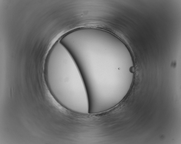 X0000113141091200909040951