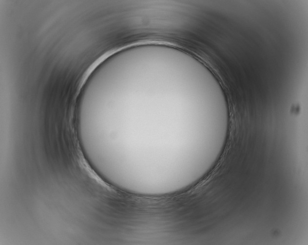 X0000113141092200909040951