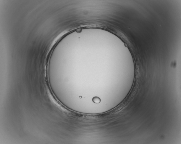 X0000113141095200909040951