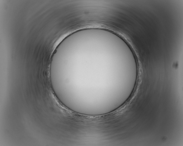 X0000113141097200909040951