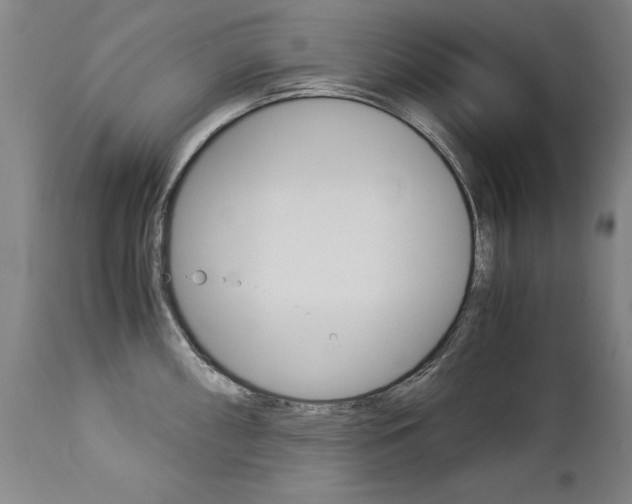 X0000113141098200909040951