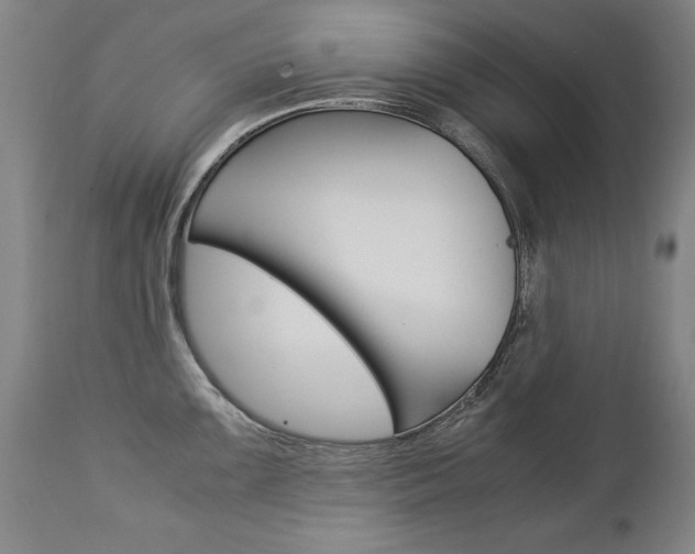 X0000113141099200909040951