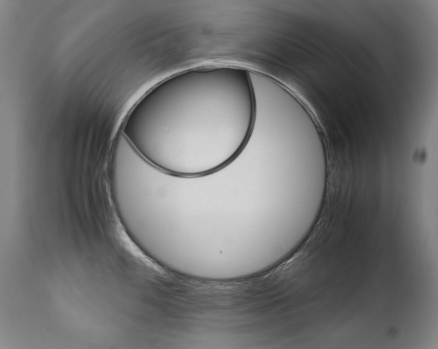 X0000113141100200909040951