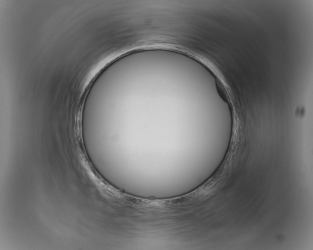 X0000113141101200909040951