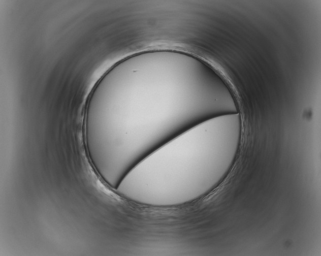 X0000113141102200909040951