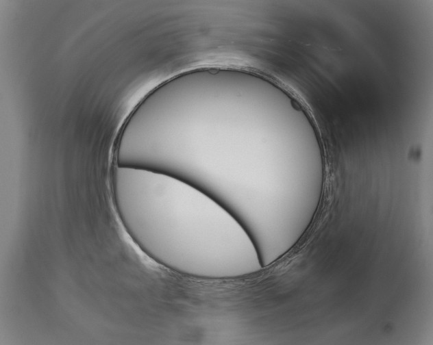 X0000113141103200909040951