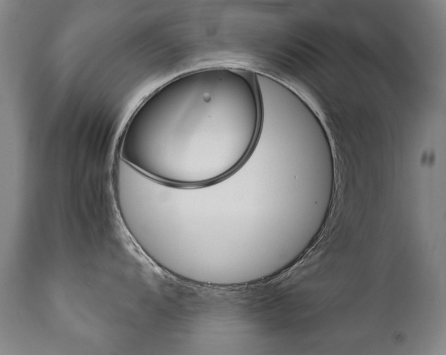 X0000113141104200909040951