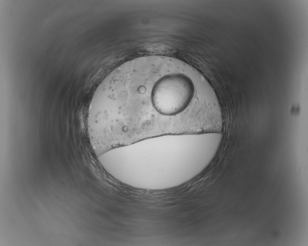 X0000113141106200909040950