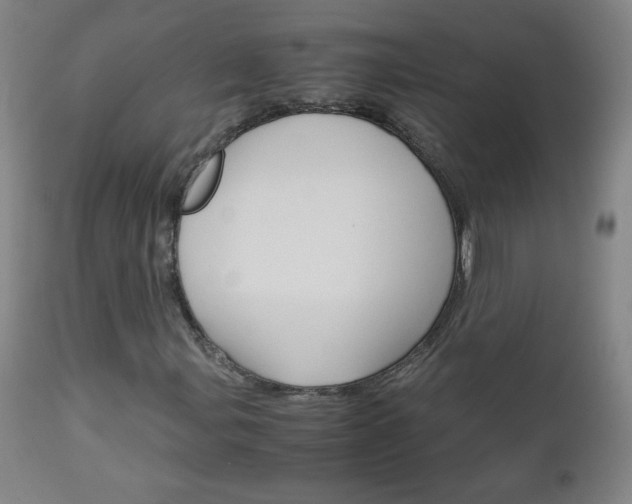 X0000113141107200909040950