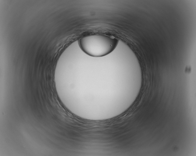 X0000113141108200909040951