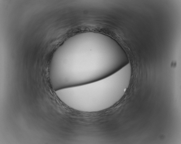 X0000113141109200909040951