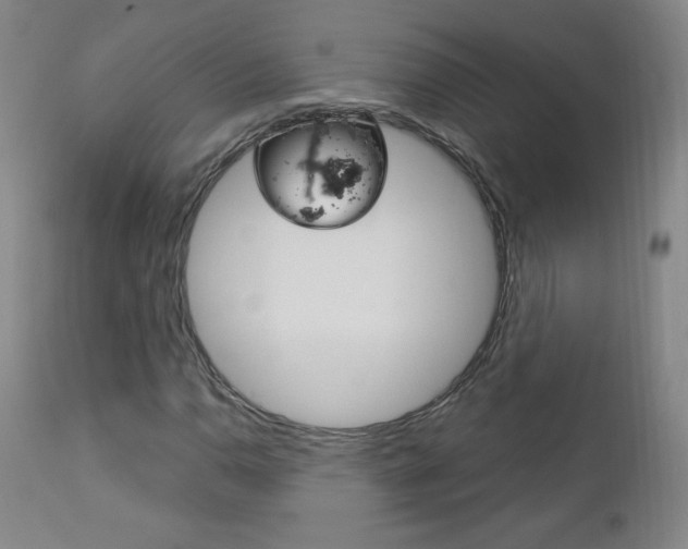 X0000113141110200909040951