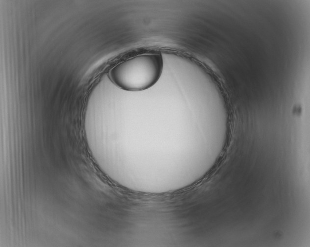 X0000113141112200909040951