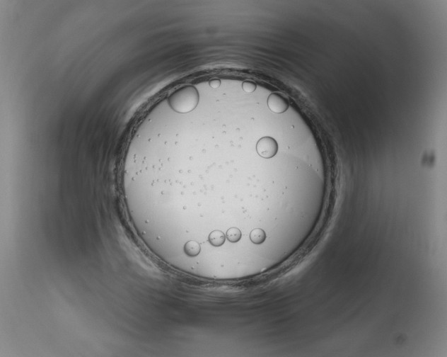 X0000113141113200909040951