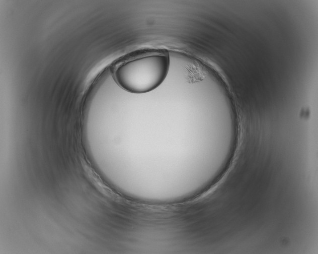 X0000113141114200909040951