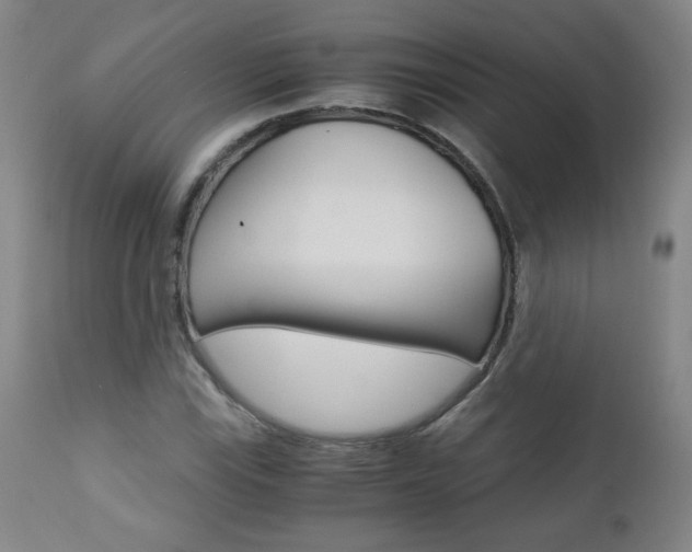 X0000113141115200909040951