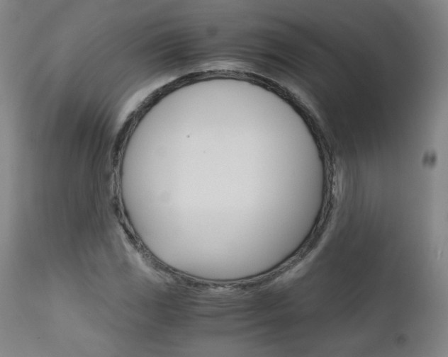 X0000113141117200909040951