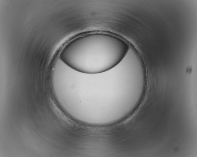 X0000113141118200909040951