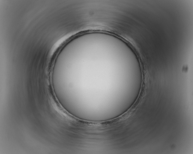X0000113141120200909040951