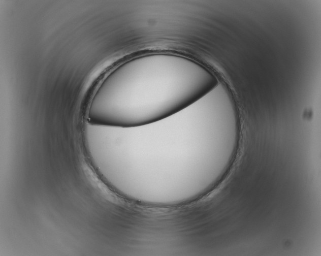 X0000113141122200909040951