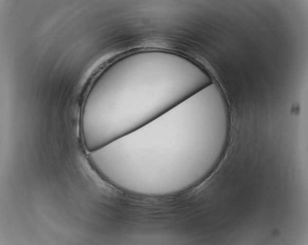 X0000113141123200909040951