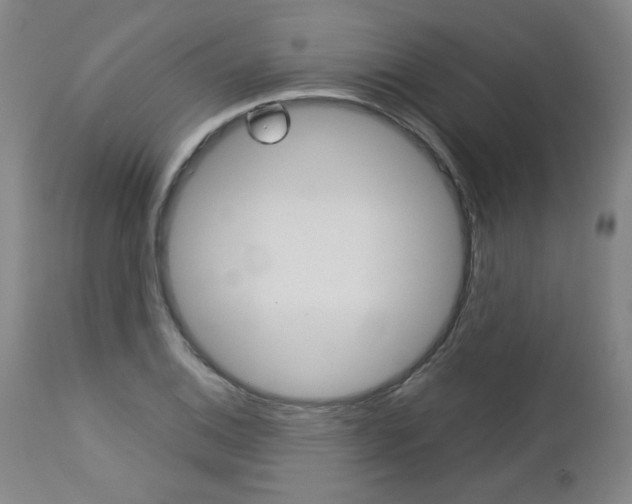 X0000113141124200909040951