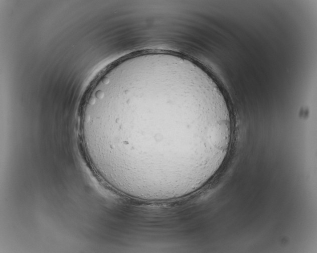 X0000113141125200909040951