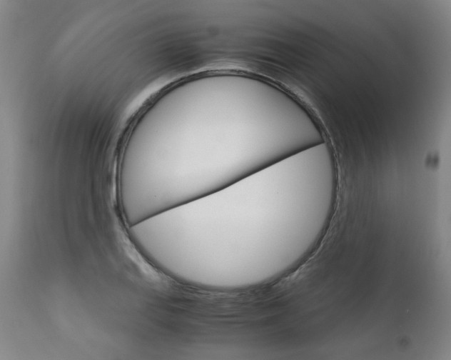 X0000113141127200909040951