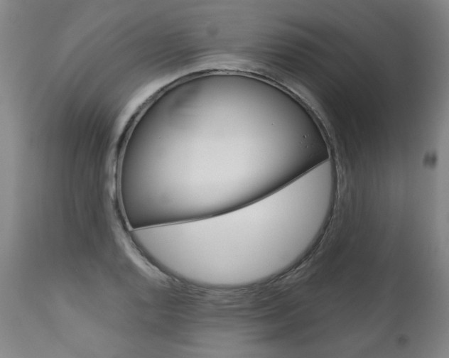 X0000113141128200909040951