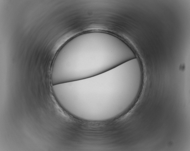 X0000113141129200909040951