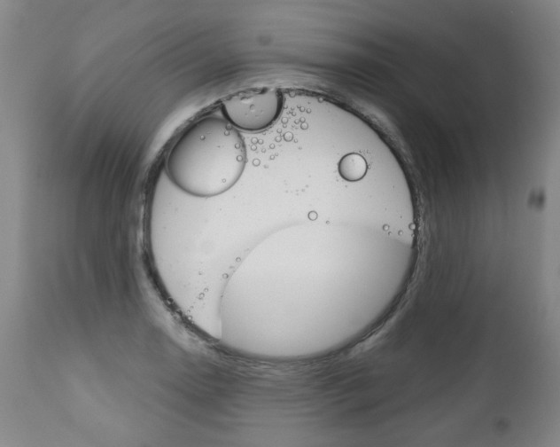 X0000113141130200909040951