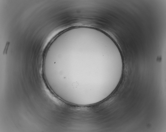 X0000113141131200909040951