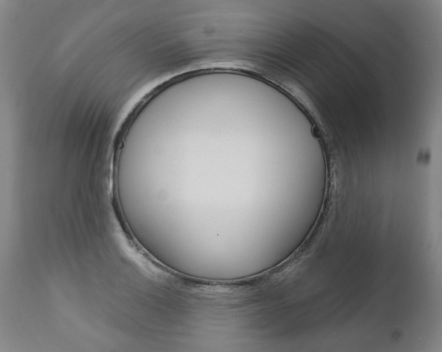 X0000113141132200909040951