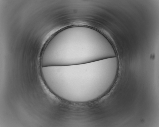 X0000113141133200909040951