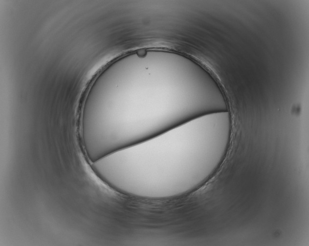 X0000113141135200909040951