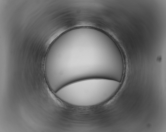 X0000113141137200909040951