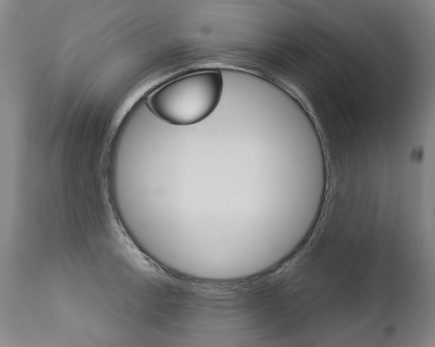 X0000113141138200909040951