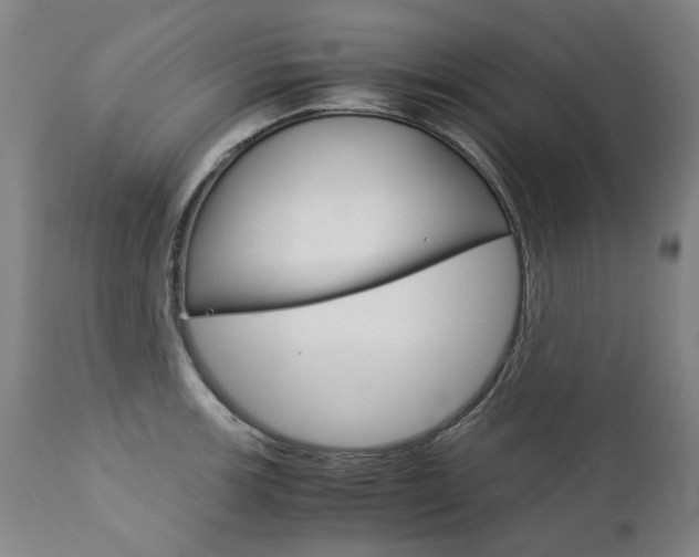 X0000113141139200909040951