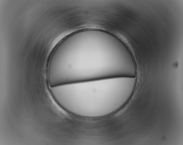 X0000113141141200909040951