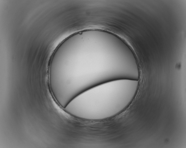 X0000113141143200909040951