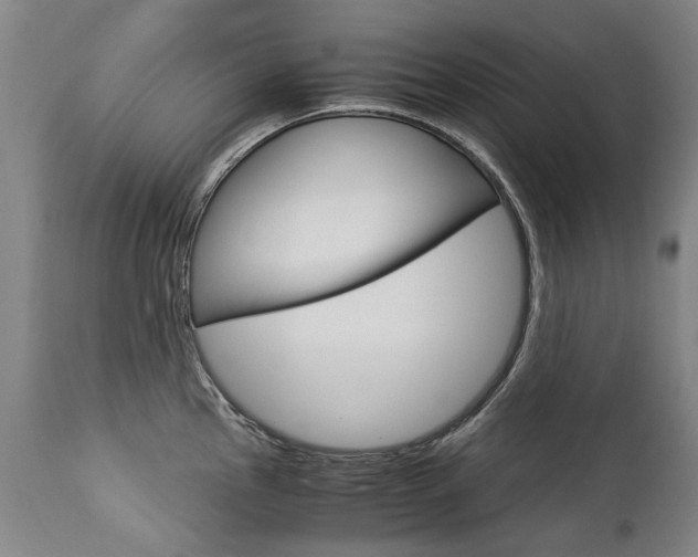 X0000113141145200909040951
