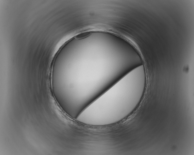 X0000113141146200909040951