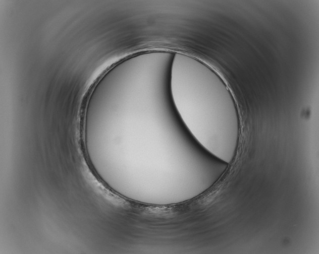 X0000113141147200909040951