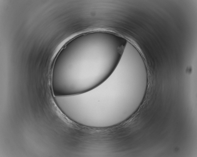 X0000113141148200909040951