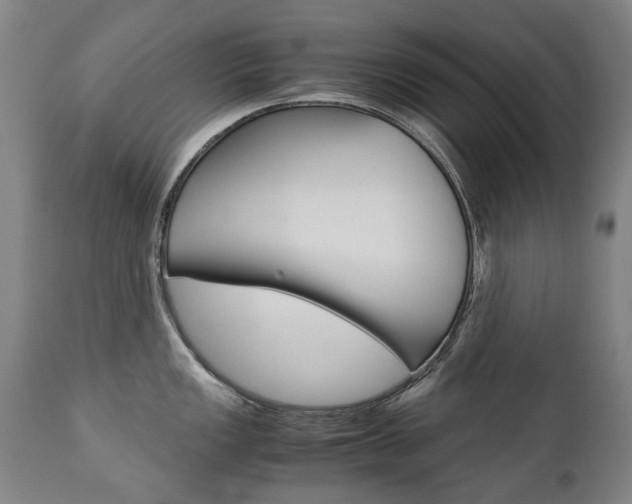 X0000113141149200909040951