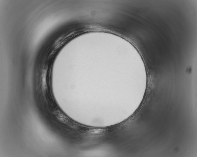 X0000113141150200909040951