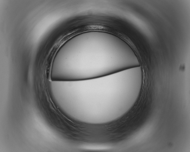 X0000113141151200909040951