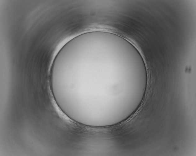 X0000113141152200909040951