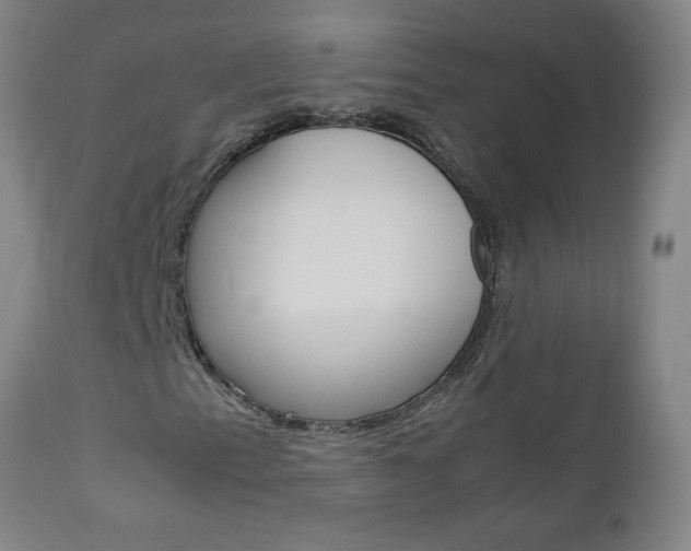 X0000113141153200909040950