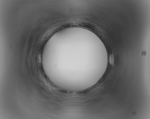 X0000113141155200909040950